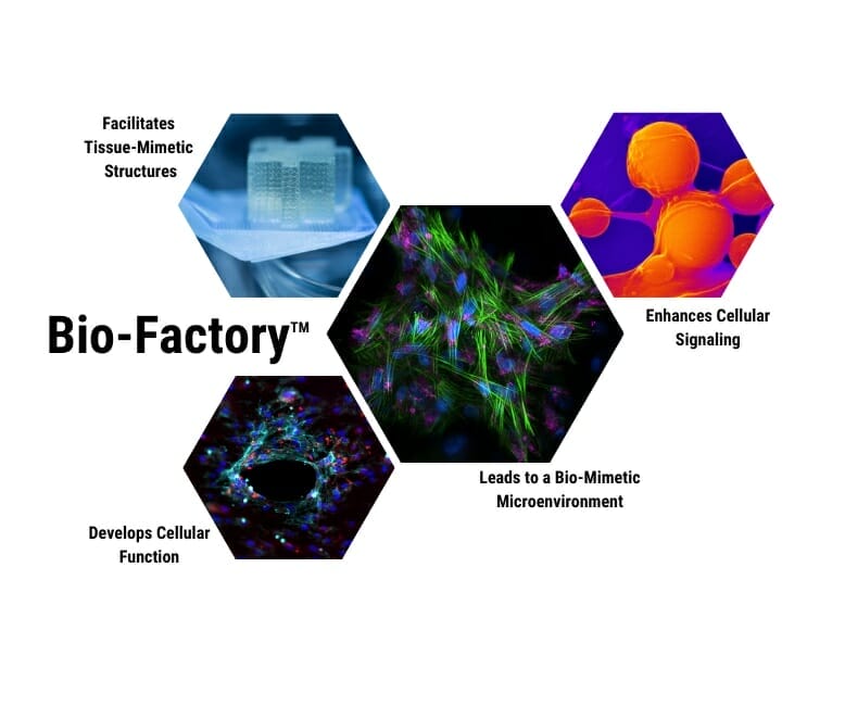 The Bio-Factory